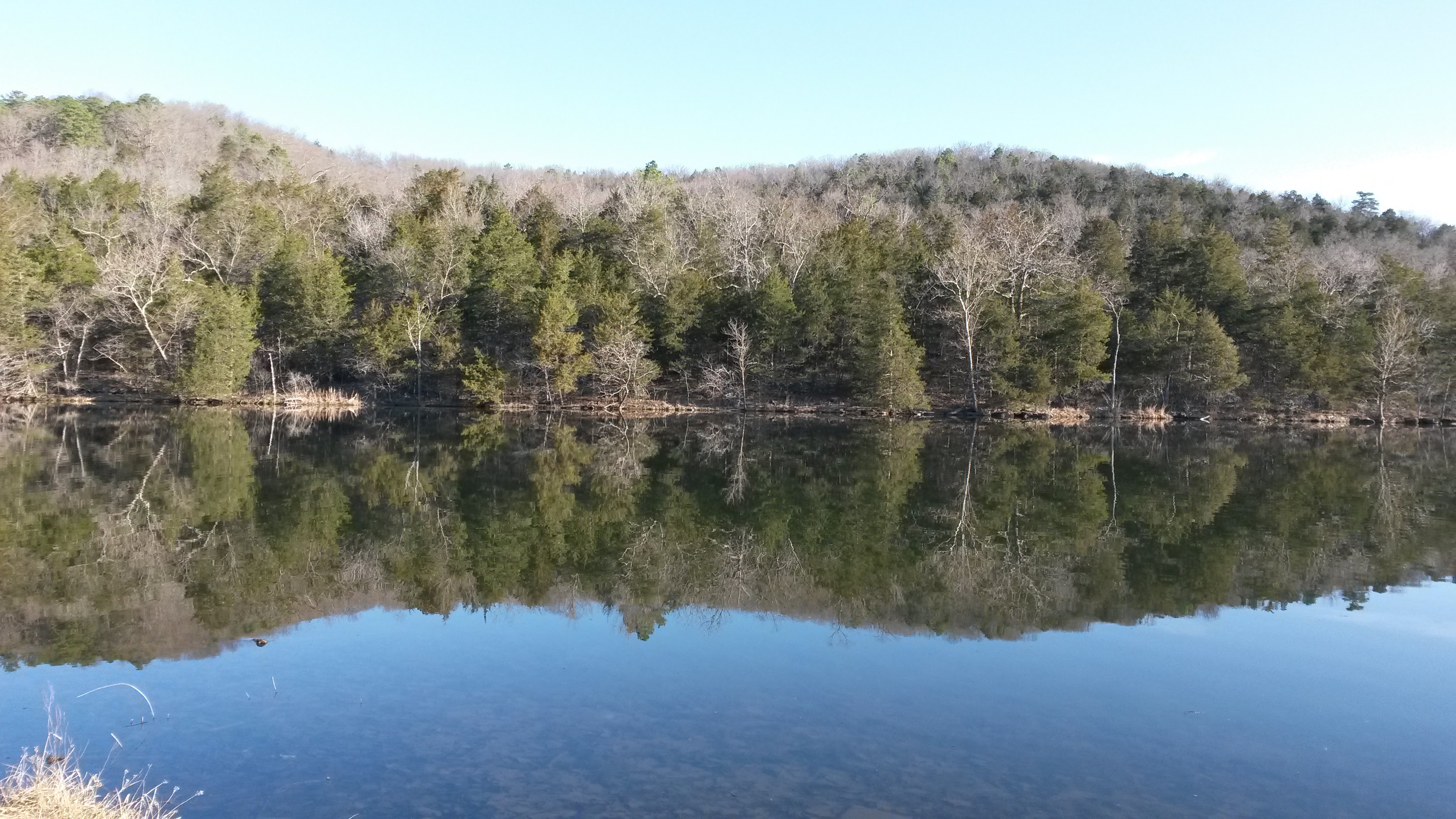 The Point at Lake Leatherwood