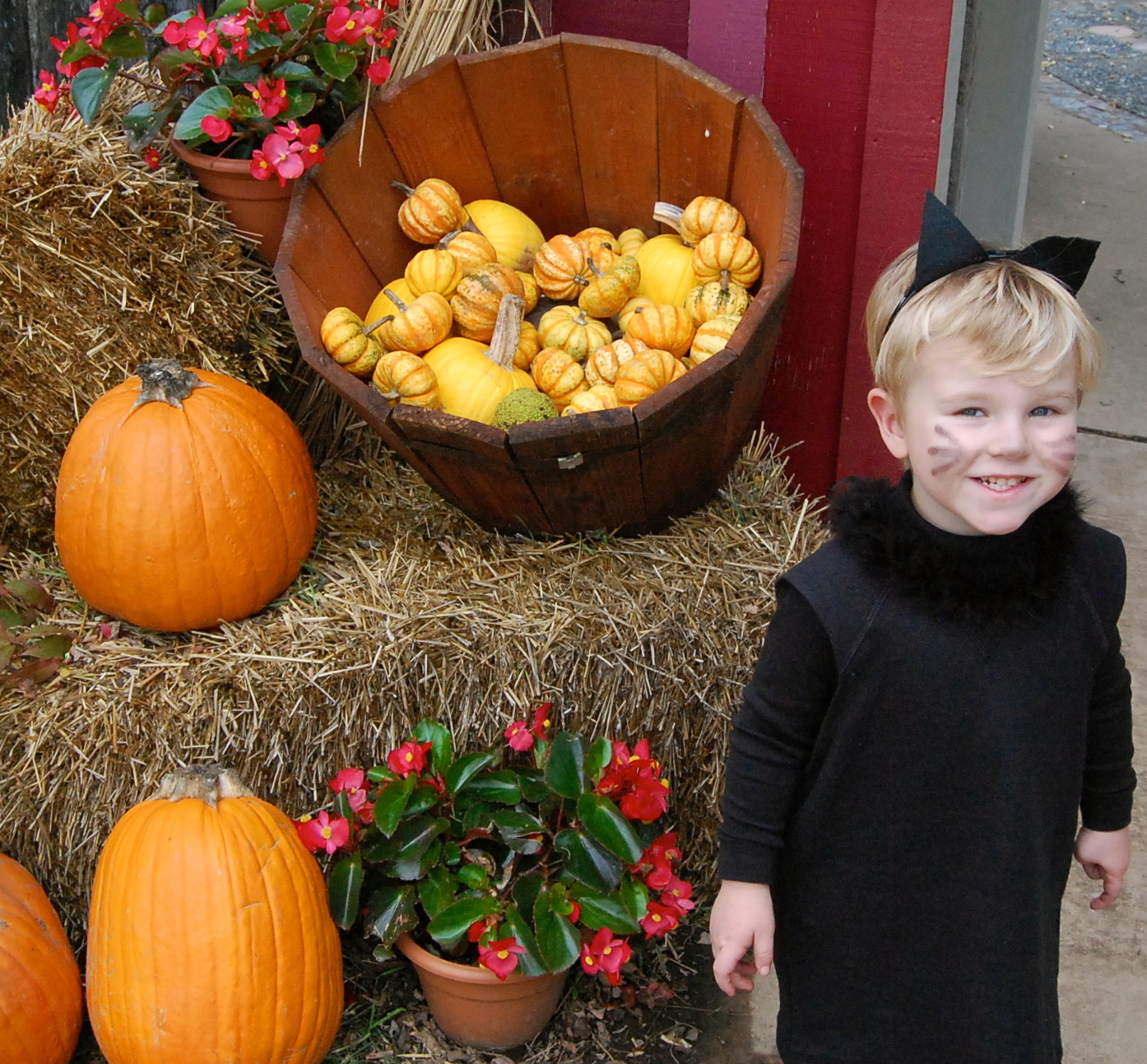 Looking for an easy last-minute costume idea for Halloween? This kid's cat costume is super simple and cute!