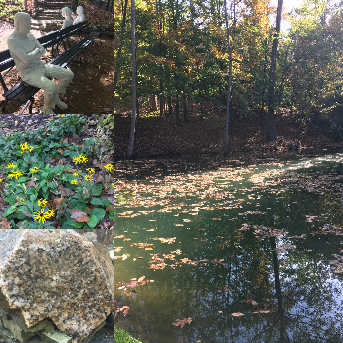 Sights along the Art Trail at Crystal Bridges