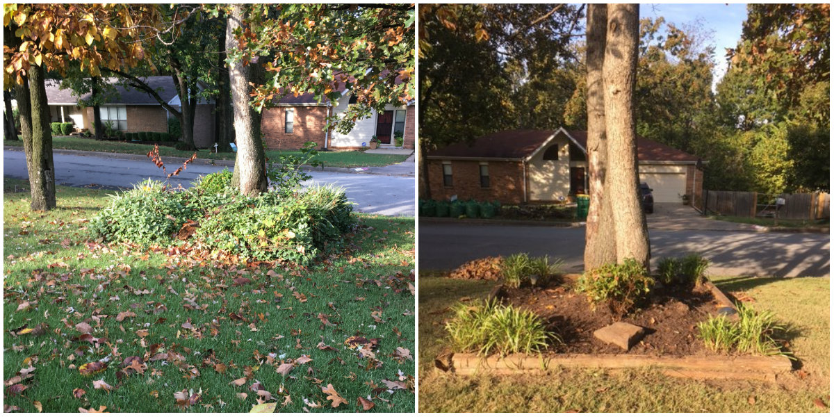 Before & after of front yard landscaping clean up