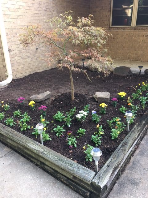 Flower bed with fall color