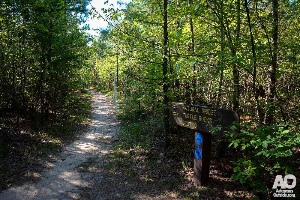 Thanks to Arkansas Outside for providing photos of the Hoof it for Heifer trail run, year after year!