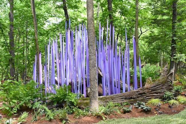 Chihuly in the Forest at Crystal Bridges August 16-November 13