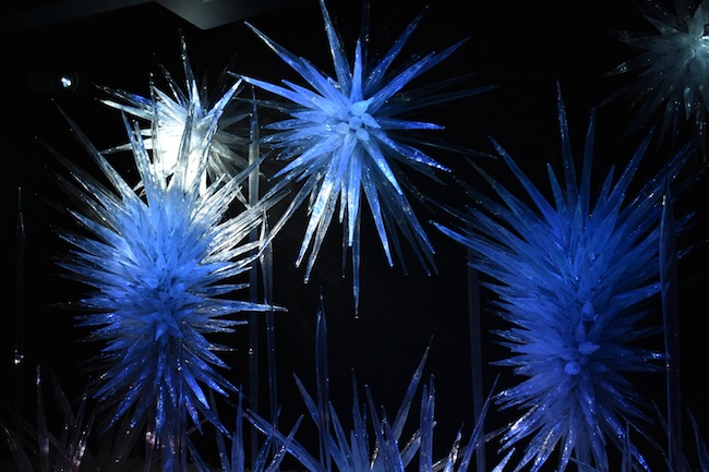 Chihuly in the Gallery at Crystal Bridges May 27 to June 2