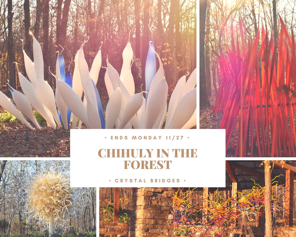 Chihuly in the Forest at Crystal Bridges ends November 27