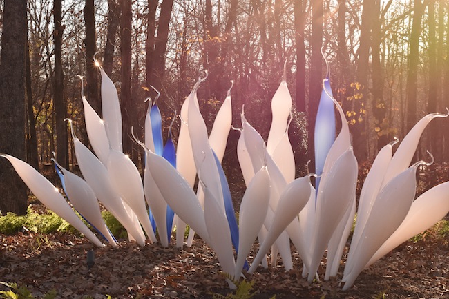 Chihuly in the Forest at Crystal Bridges ends November 27