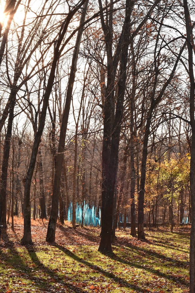 Chihuly in the Forest at Crystal Bridges ends November 27