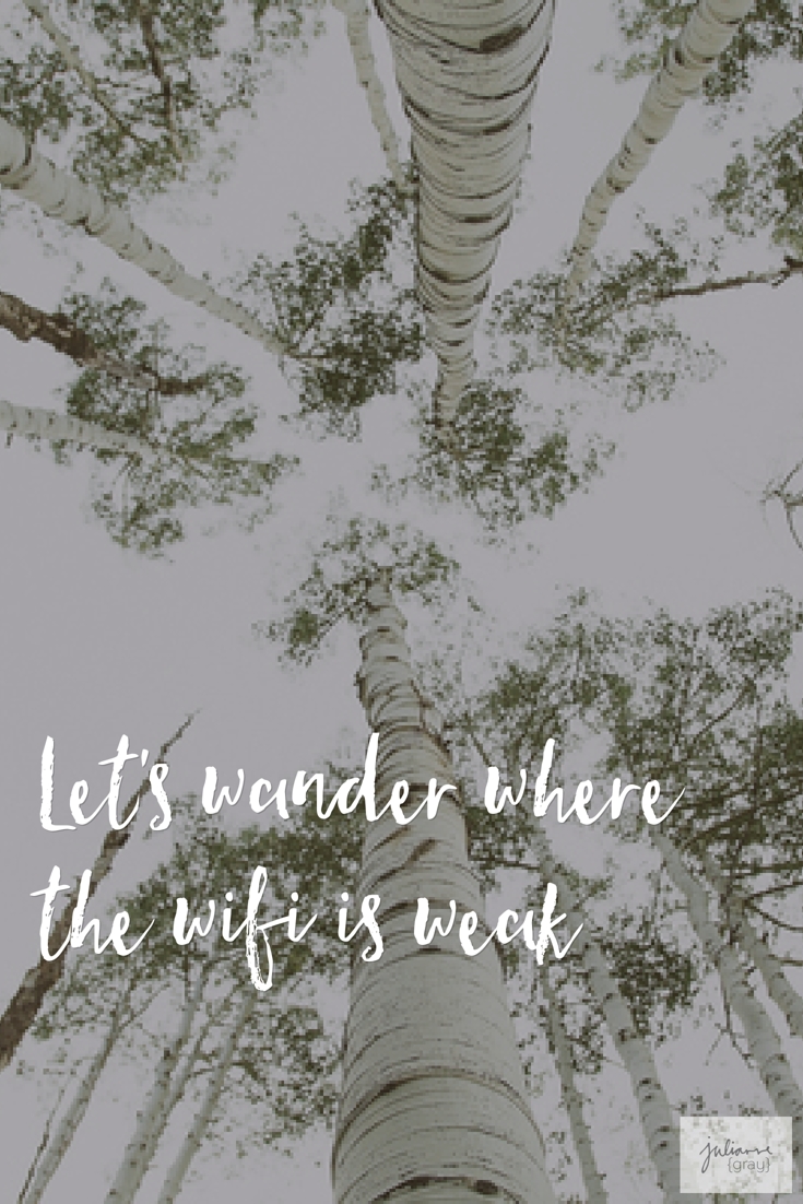 Wander without wifi is weak | julianne {gray}