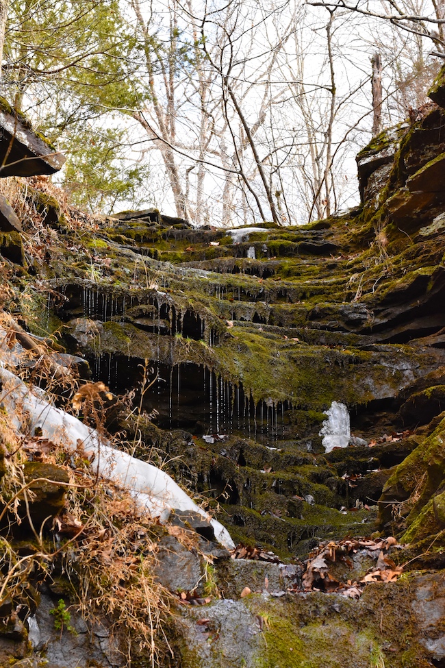 Hiking at the Devil's Den Self-Guided Trail for our 11th anniversary